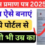 Birth Certificate Online 2025