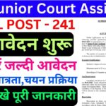SCI Junior Court Assistant Recruitment 2025
