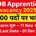 Bank of Baroda Apprentice Bharti 2025